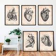 Load image into Gallery viewer, Heart anatomy vintage posters