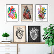 Load image into Gallery viewer, Heart anatomy posters in a variety of styles by codex anatomicus