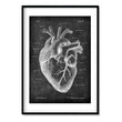 Laden Sie das Bild in den Galerie-Viewer, heart anatomy medical print in chalkboard style by codex anatomicus
