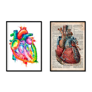 heart anatomy medical posters in watercolor and dictionary styles by codex anatomicus