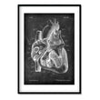 Laden Sie das Bild in den Galerie-Viewer, heart anatomy poster in chalkboard style by codex anatomicus