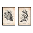Load image into Gallery viewer, Vintage Heart anatomy - Set of 5