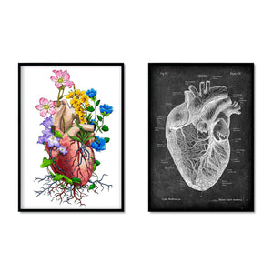 heart anatomy art prints in floral and chalkboard styles by codex anatomicus