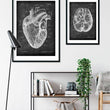 Load image into Gallery viewer, Heart anatomy art poster