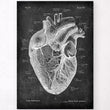 Load image into Gallery viewer, Anatomical heart print