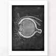 Load image into Gallery viewer, Eye anatomy - Chalkboard