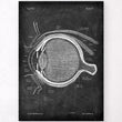 Load image into Gallery viewer, Eye anatomy poster