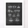 Load image into Gallery viewer, Vertebrae anatomy art