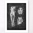 Charger l'image dans la galerie, Knee anatomy