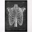 Load image into Gallery viewer, Thorax anatomy poster
