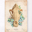 Laden Sie das Bild in den Galerie-Viewer, Vintage dog anatomy poster