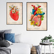 Load image into Gallery viewer, Heart anatomy poster