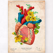 Load image into Gallery viewer, Heart anatomy poster