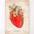 Load image into Gallery viewer, Anatomy of the heart