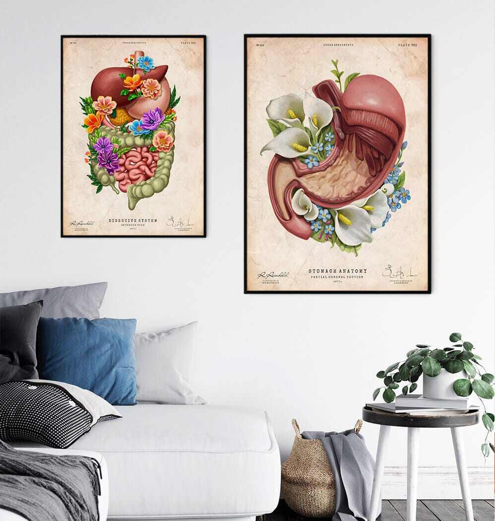 Floral stomach anatomy art print by Codex Anatomicus