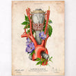 Charger l'image dans la galerie, Larynx and aorta anatomy