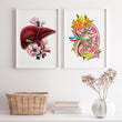Load image into Gallery viewer, Liver and kidney anatomy art