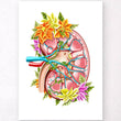 Load image into Gallery viewer, Kidney anatomy art print