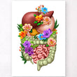 Laden Sie das Bild in den Galerie-Viewer, Digestive system anatomy poster