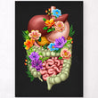 Charger l'image dans la galerie, Digestive system poster