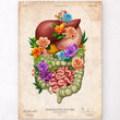 Load image into Gallery viewer, Digestive system anatomy art