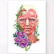 Laden Sie das Bild in den Galerie-Viewer, Facial muscles anatomy poster
