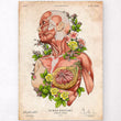 Laden Sie das Bild in den Galerie-Viewer, Woman body anatomy