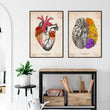 Charger l'image dans la galerie, Heart and brain anatomy art print