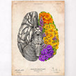Charger l'image dans la galerie, Anatomical brain art