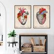 Charger l'image dans la galerie, Heart anatomy poster