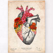 Charger l'image dans la galerie, Anatomical heart art print