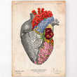 Laden Sie das Bild in den Galerie-Viewer, Anatomical heart with flowers