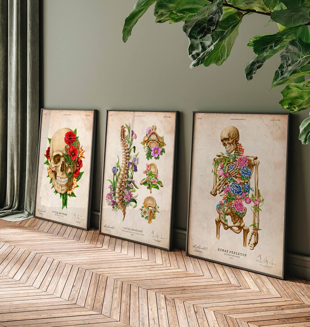 Floral Skeleton Anatomy Art Print Codex Anatomicus floral-skeleton-anatomy-art-print-codex-anatomicus