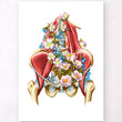Load image into Gallery viewer, Iliacus & psoas muscles anatomy