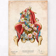 Load image into Gallery viewer, Vintage iliacus and psoas muscles poster