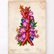 Load image into Gallery viewer, Aorta anatomy poster
