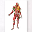 Laden Sie das Bild in den Galerie-Viewer, Muscles anatomy art