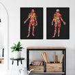 Load image into Gallery viewer, Muscular system anatomy poster
