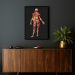 Load image into Gallery viewer, Muscular system anatomy poster