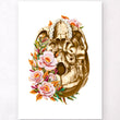 Load image into Gallery viewer, Skull inferior view