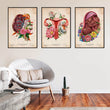 Load image into Gallery viewer, Obgyn anatomy posters - placenta, fetus, uterus