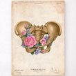 Load image into Gallery viewer, Female pelvis anatomy print