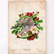 Load image into Gallery viewer, Lymph node anatomy poster