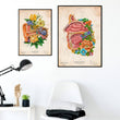 Load image into Gallery viewer, ENT anatomy