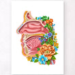 Load image into Gallery viewer, Nose anatomy poster