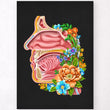 Load image into Gallery viewer, Nasal cavity anatomy art
