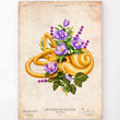 Load image into Gallery viewer, Inner ear anatomy poster