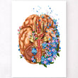 Charger l'image dans la galerie, Brain anatomy art print