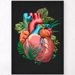 Load image into Gallery viewer, Heart anatomy art