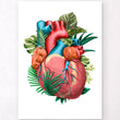Laden Sie das Bild in den Galerie-Viewer, Anatomical heart art print
